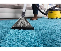 Affordable Carpet Cleaning Illawarra – Same Day Service Available
