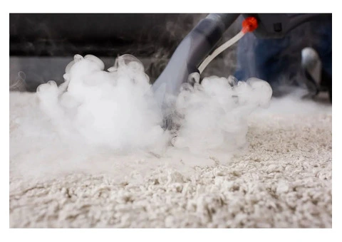 Steam Carpet Cleaning Perth Homes and Offices Trust