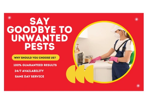 Pest Control Sebastopol – Your Local Experts in Pest Removal