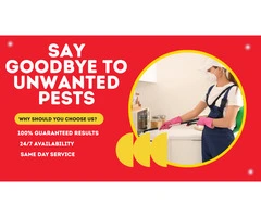 Pest Control Sebastopol – Your Local Experts in Pest Removal