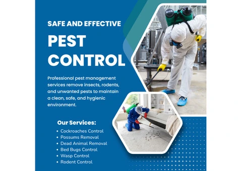 Pest Control Sandhurst – Protecting Homes from Unwanted Pests