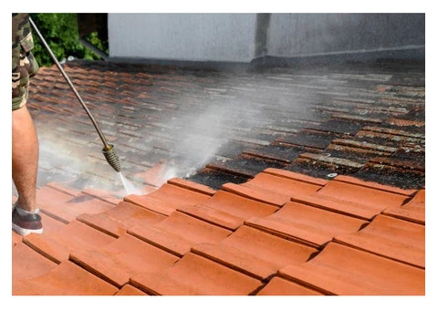 Dirty Walls Lower Property Value Call Experts Before It Spreads - 2/4