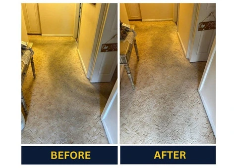 Book weekly, fortnightly, and monthly services for Commercial carpet cleaning Adelaide