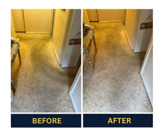 Book weekly, fortnightly, and monthly services for Commercial carpet cleaning Adelaide