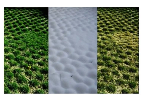 Trays of Zoysia (No Mow) Tenuifolia - 330mm x 330mm - Free Delivery. - 16/17