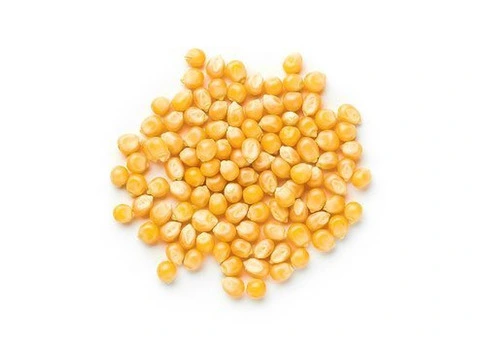 Best Popcorn Supplier Australia for Fresh and Quality Snacks