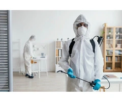 End of Lease Pest Control – Hassle-Free Move Out Cleaning Solution