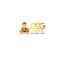 Expert Carpet Cleaning Brisbane