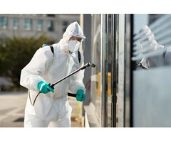 Eco-Friendly Mosquito Control Solutions in Sydney