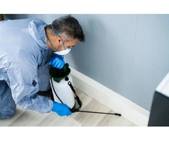 Affordable Moth Control in Sydney You Can Trust