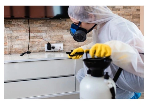 Fast & Reliable Maggot Control Services in Sydney