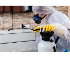 Fast & Reliable Maggot Control Services in Sydney