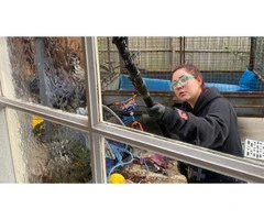 Expert Window Cleaning in Port Melbourne | Streak-Free Shine Every Time