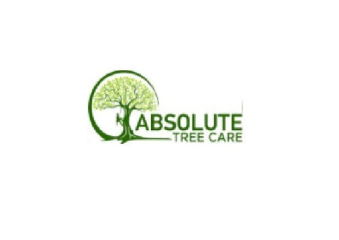 Tree Pruning Inverloch
