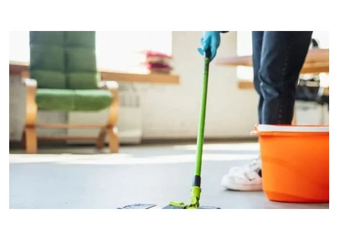 Quick and Efficient Expert Pre Sale Cleaning Service for Faster Sales