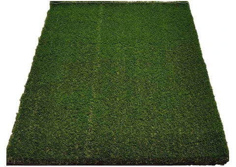 Artificial Lawn in Batemans Bay
