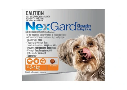 NexGard Chewables for Dogs – Tasty Monthly Flea & Tick Control | DiscountPetCare