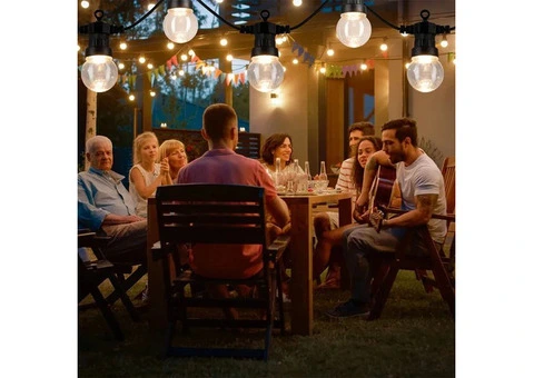 Looking for Outdoor Festoon Lights