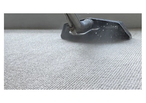 Premium Carpet Cleaning Services to Enhance Your Home’s Comfort