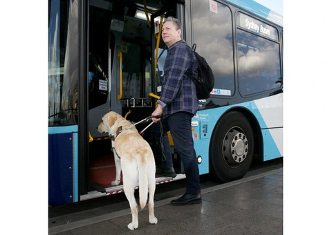 Trusted NDIS Transport Services Near Me in Brisbane - 2/2