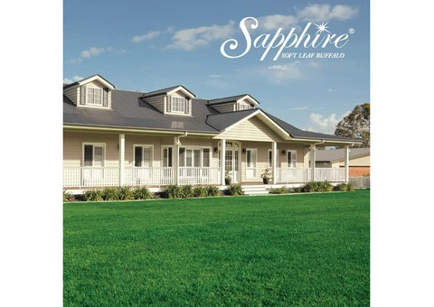 Sapphire Buffalo Turf in Freemans Reach