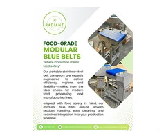 Food industry conveyor systems in Brisbane