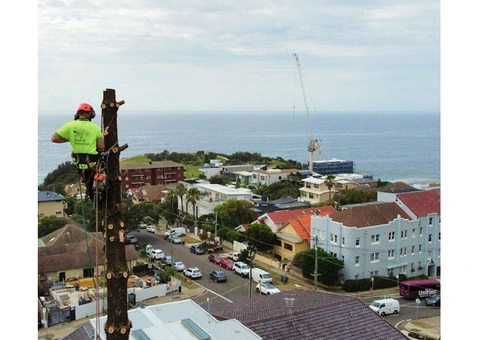Tree Pruning Sydney