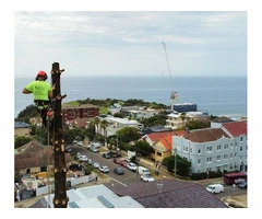 Tree Pruning Sydney