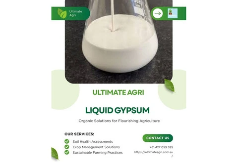 Liquid gypsum