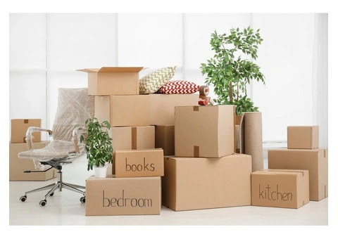 Professional Removalists in Ascot for Smooth & Hassle-Free Relocations