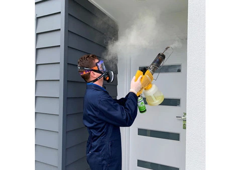 Pest Control Gold Coast | Professional Pest Solutions by Termicide