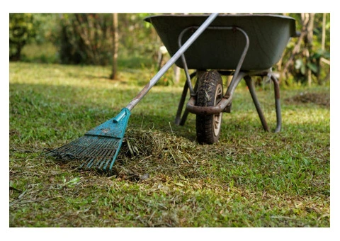 Leaf Blowing in Melbourne | Lika Cleaning & Gardening Melbourne - 3/10