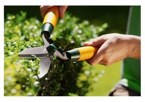 Leaf Blowing in Melbourne | Lika Cleaning & Gardening Melbourne - 4/10
