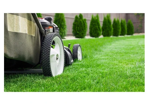 Leaf Blowing in Melbourne | Lika Cleaning & Gardening Melbourne - 6/10