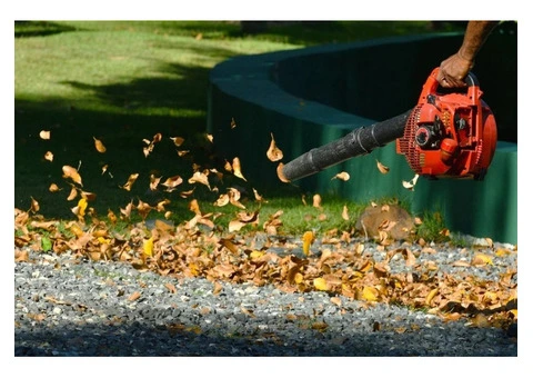 Leaf Blowing in Melbourne | Lika Cleaning & Gardening Melbourne - 7/10