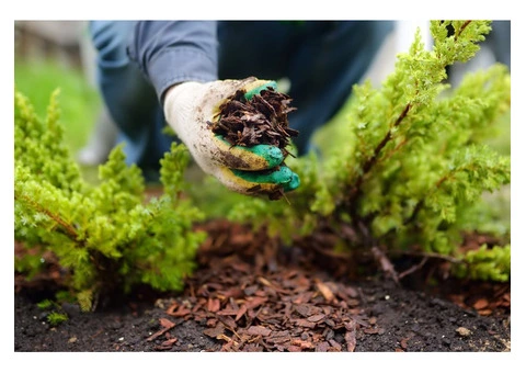 Leaf Blowing in Melbourne | Lika Cleaning & Gardening Melbourne - 9/10