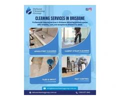 Premium Upholstery Cleaning Brisbane and Carpet Steam Cleaning Services