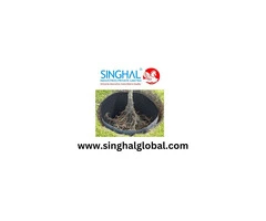 Reliable HDPE Root Barrier For Structural Safety