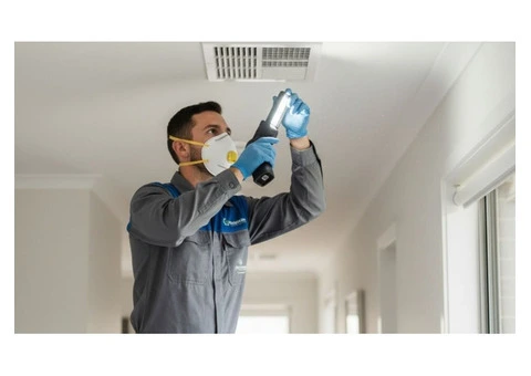 Possum Removal Toorak: Same-Day & Emergency Service | True Pest Control