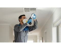 Possum Removal Toorak: Same-Day & Emergency Service | True Pest Control