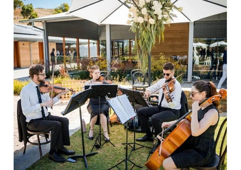 String Musician | String Quartet & Band Hire Australia - 1/4