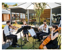 String Musician | String Quartet & Band Hire Australia