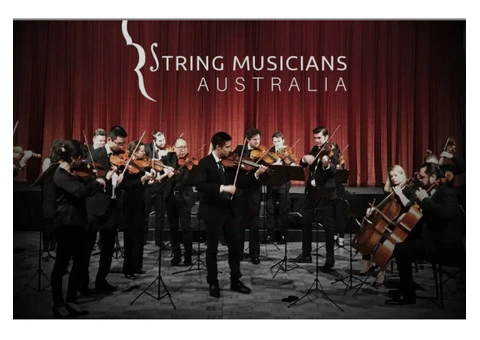 String Musician | String Quartet & Band Hire Australia - 4/4