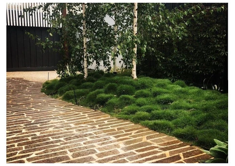 Trays of Zoysia (No Mow) Tenuifolia - 330mm x 330mm - Free Delivery - 3/10