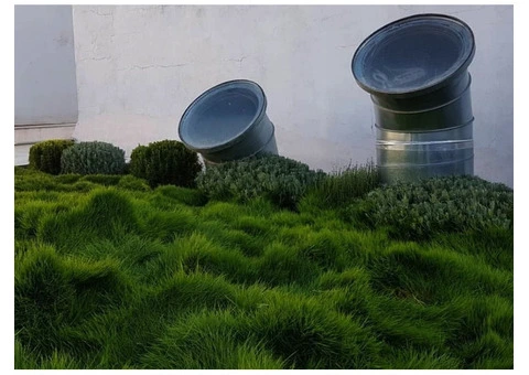 Trays of Zoysia (No Mow) Tenuifolia - 330mm x 330mm - Free Delivery - 4/10