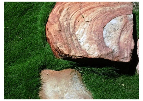 Trays of Zoysia (No Mow) Tenuifolia - 330mm x 330mm - Free Delivery - 5/10