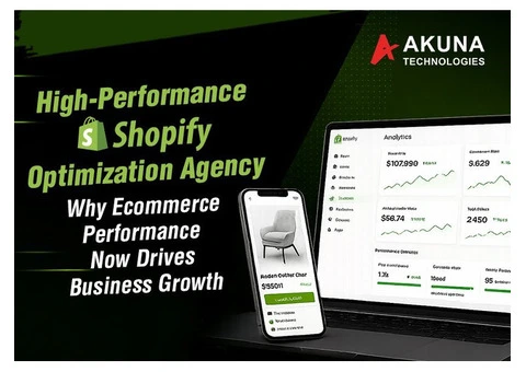 Know about high performance shopify optimization agency
