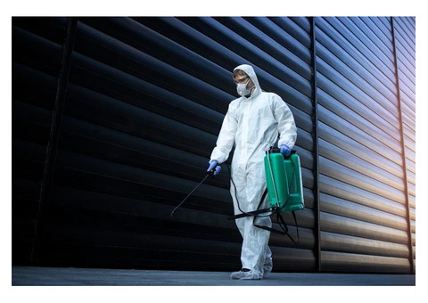 Pest Control North Shore | Fast, Safe & Affordable Pest Removal Services