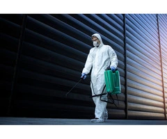 Pest Control North Shore | Fast, Safe & Affordable Pest Removal Services