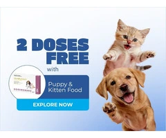 Stock Up on Revolution and Receive Free Doses